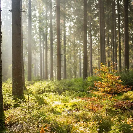 فندق Brugger's Hotelpark Am تيتيسي نيوستادت