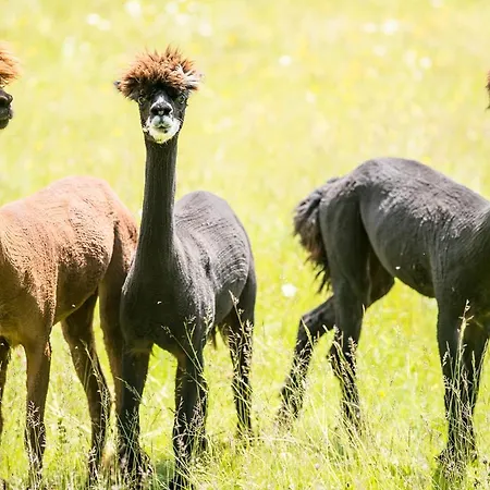 Brugger's Hotelpark Am Hotel