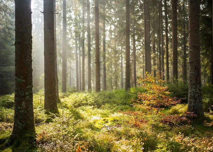 فندق Brugger's Hotelpark Am تيتيسي نيوستادت